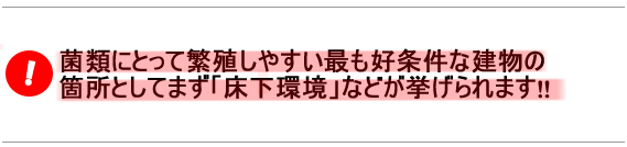 �ۗނɂƂ��ĔɐB���₷���ł��D�����Ȍ����̉ӏ��Ƃ��Ă܂��u�������v�Ȃǂ��������܂�!!