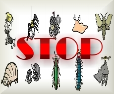 �Q���쏜�A�� �Q���쏜�N�� �Q���쏜�n�G �Q���쏜�i���N�W �Q���쏜�� �Q���쏜�_�j �Q���쏜�_���S���V �Q���쏜�^�}���V �Q���쏜���J�f(���X�f) �Q�b�h���R�E����