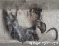 �l�Y�~�̕ߊl����