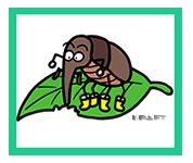 �A��/�A�͊Q����]�E���V