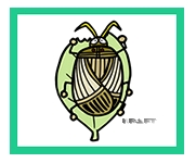 �A��/�A�͊Q����J�����V