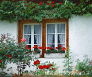 �Z����ŁE�O�ǃN���[�j���O