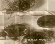 �g�R�W���~�̋쏜